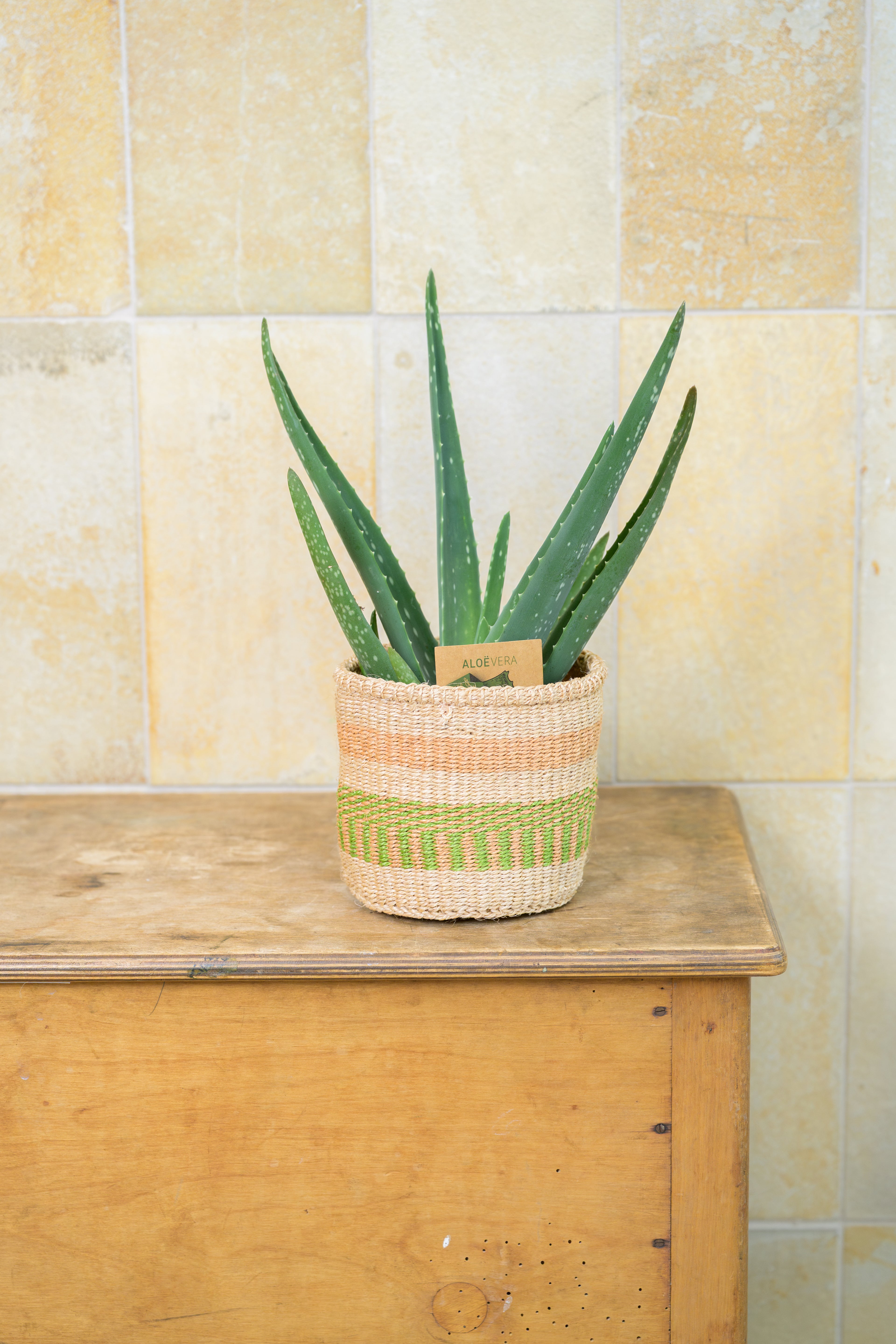 Green Living Basket