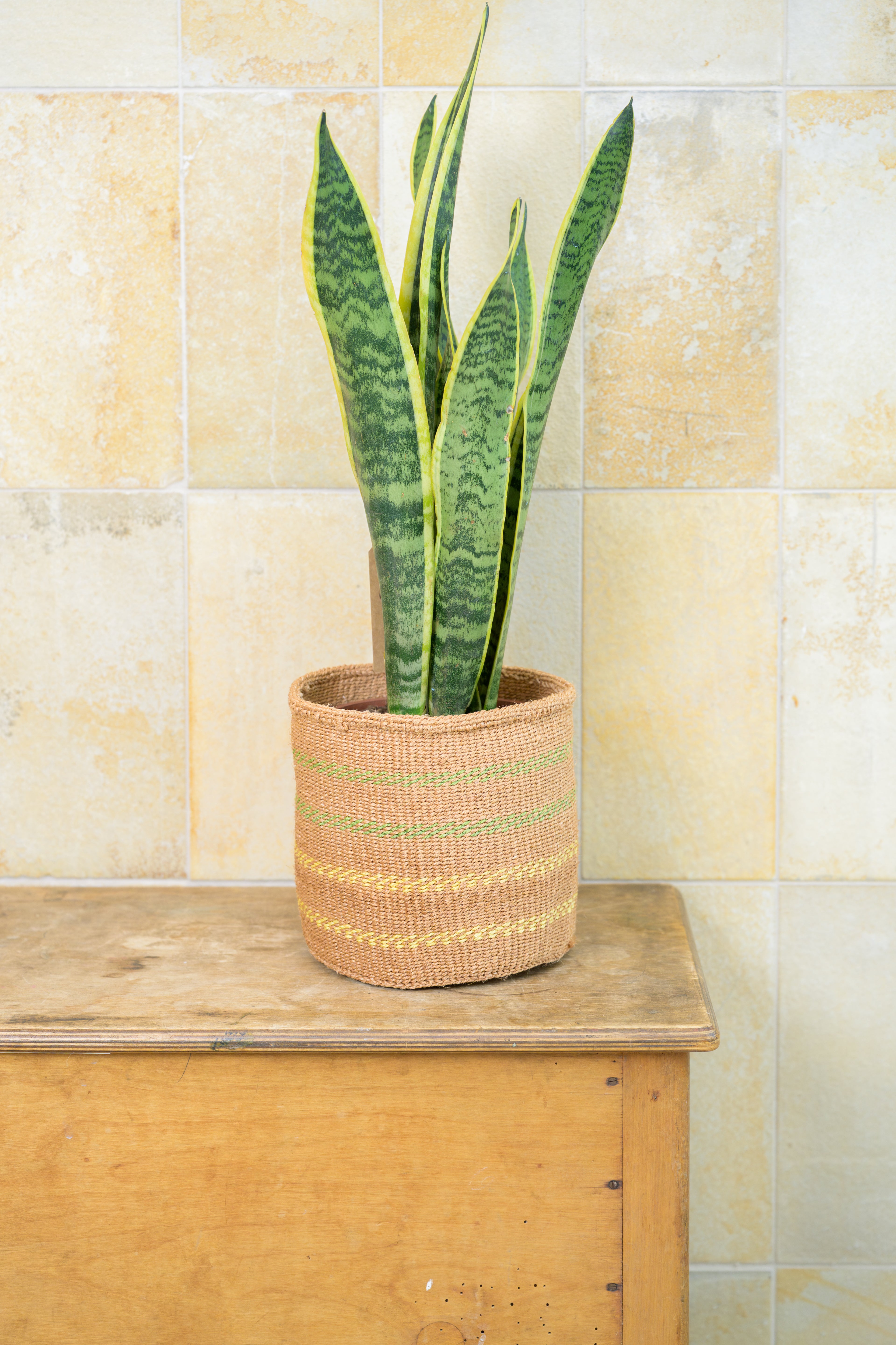 Green Living Basket