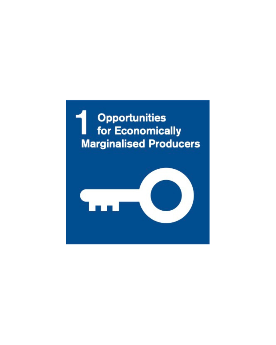 Creating opportunities for disadvantaged producers