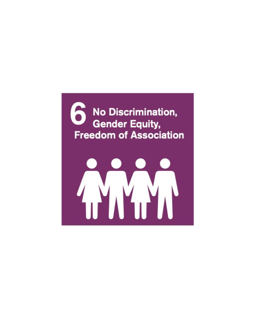 Commitment to non-discrimination, gender equity and freedom of association
