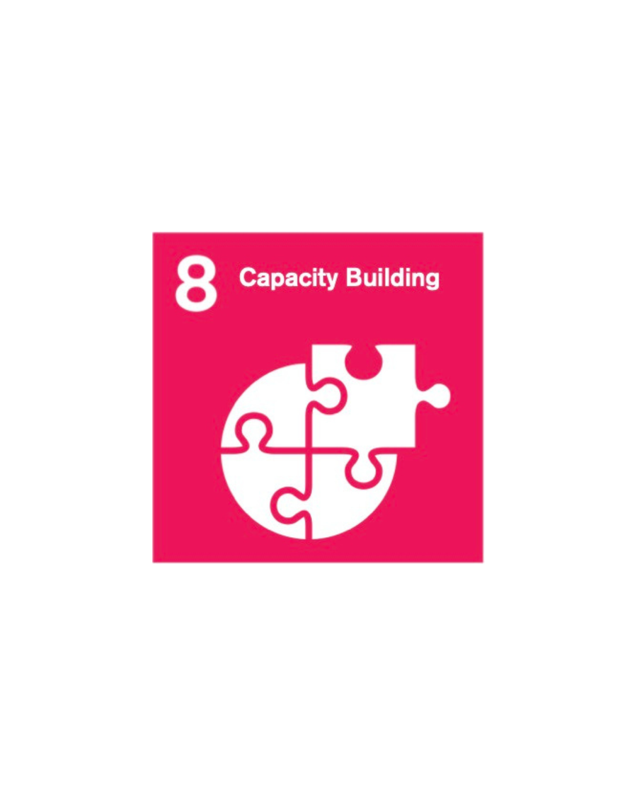 Providing capacity building