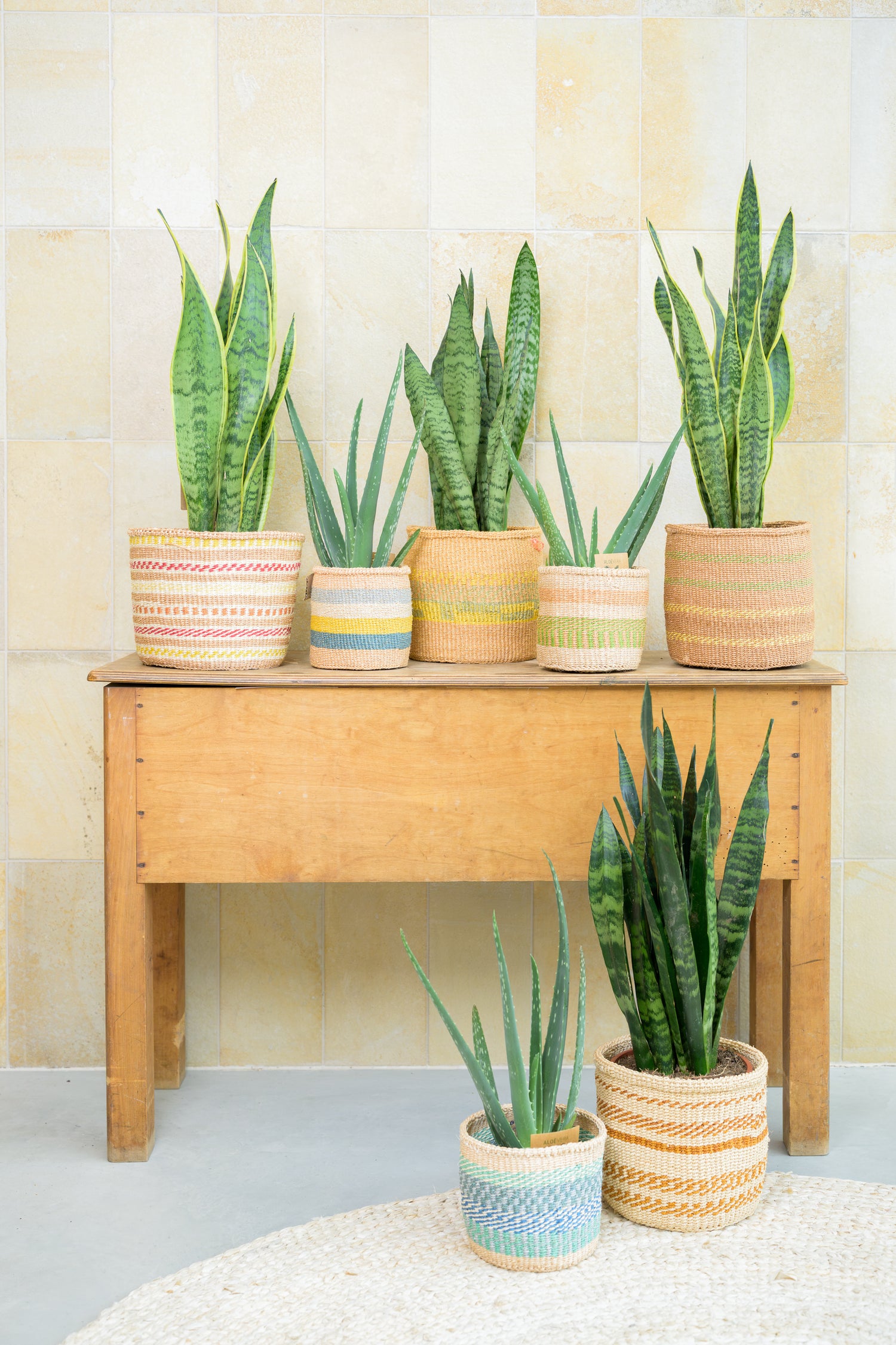 Green Living Basket