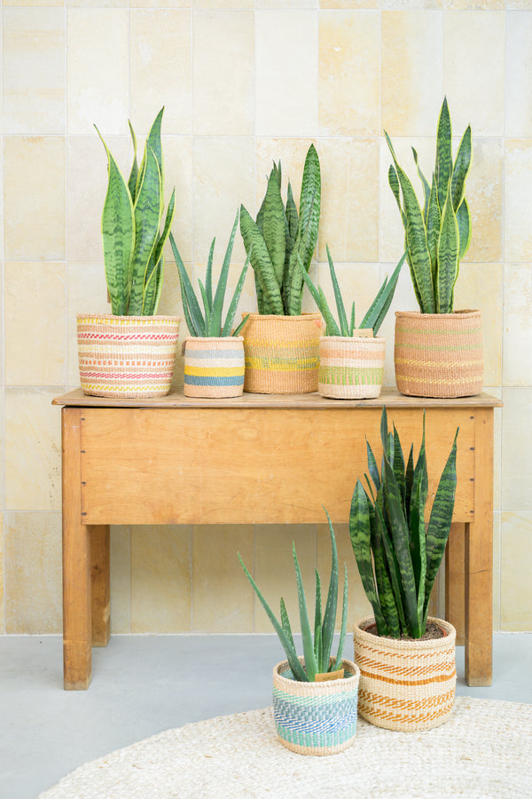 Green Living Basket