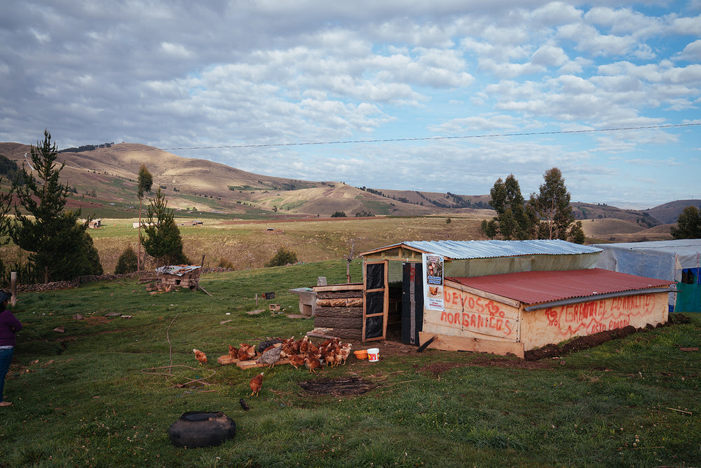 Ayacucho, Peru