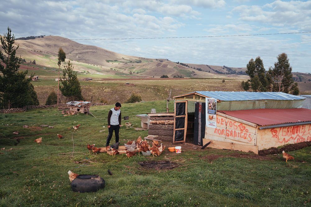 Ayacucho, Peru