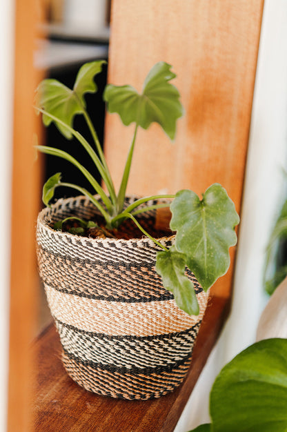 Sisal basket - fine weave - classic colours